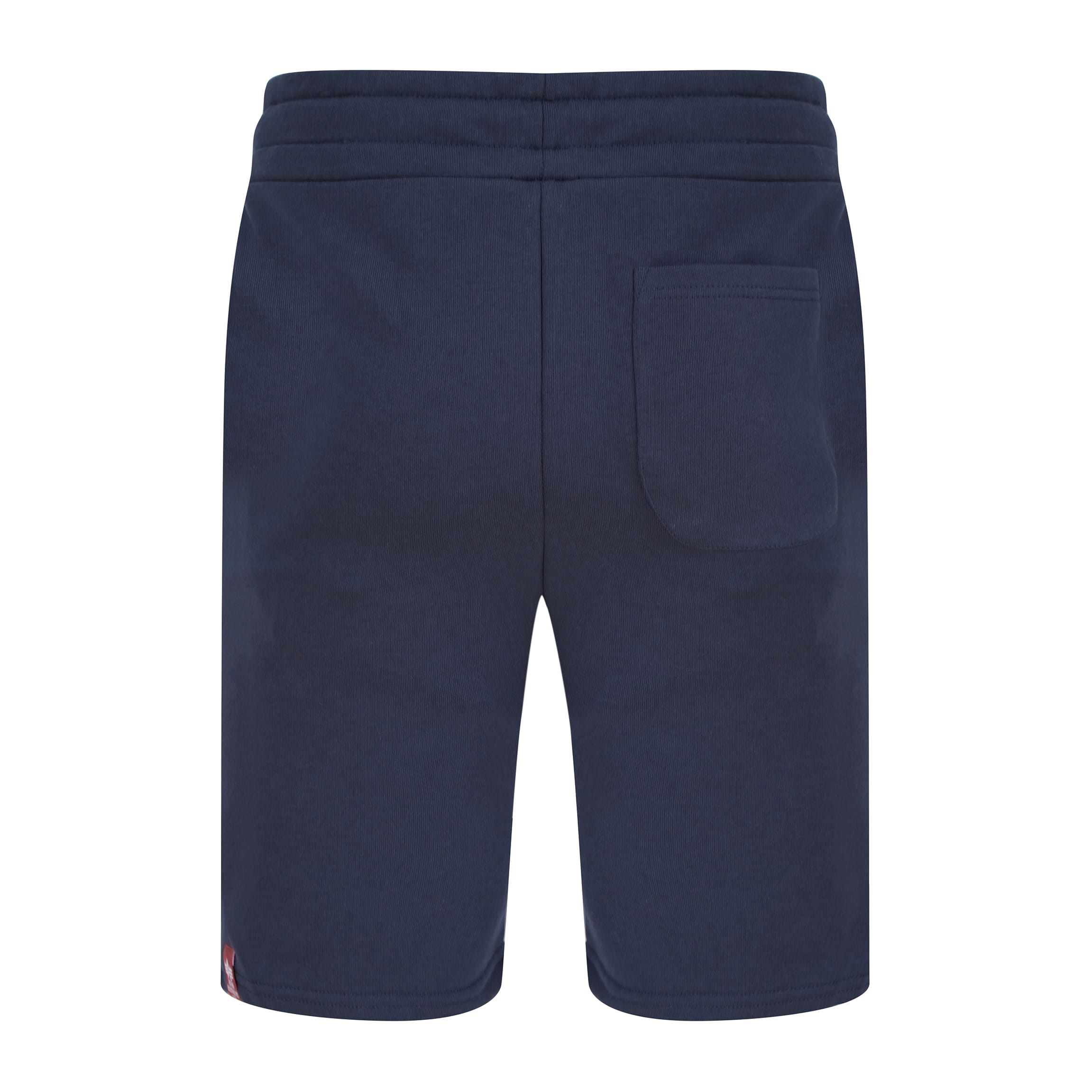 ALPHA INDUSTRIES NASA BASIC SWEAT SHORTS 116362 REP BLUE 07