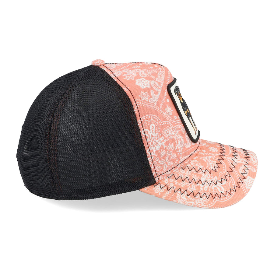 GOORIN BROS. LOVESEXY PAISLEY TRUCKER CAP