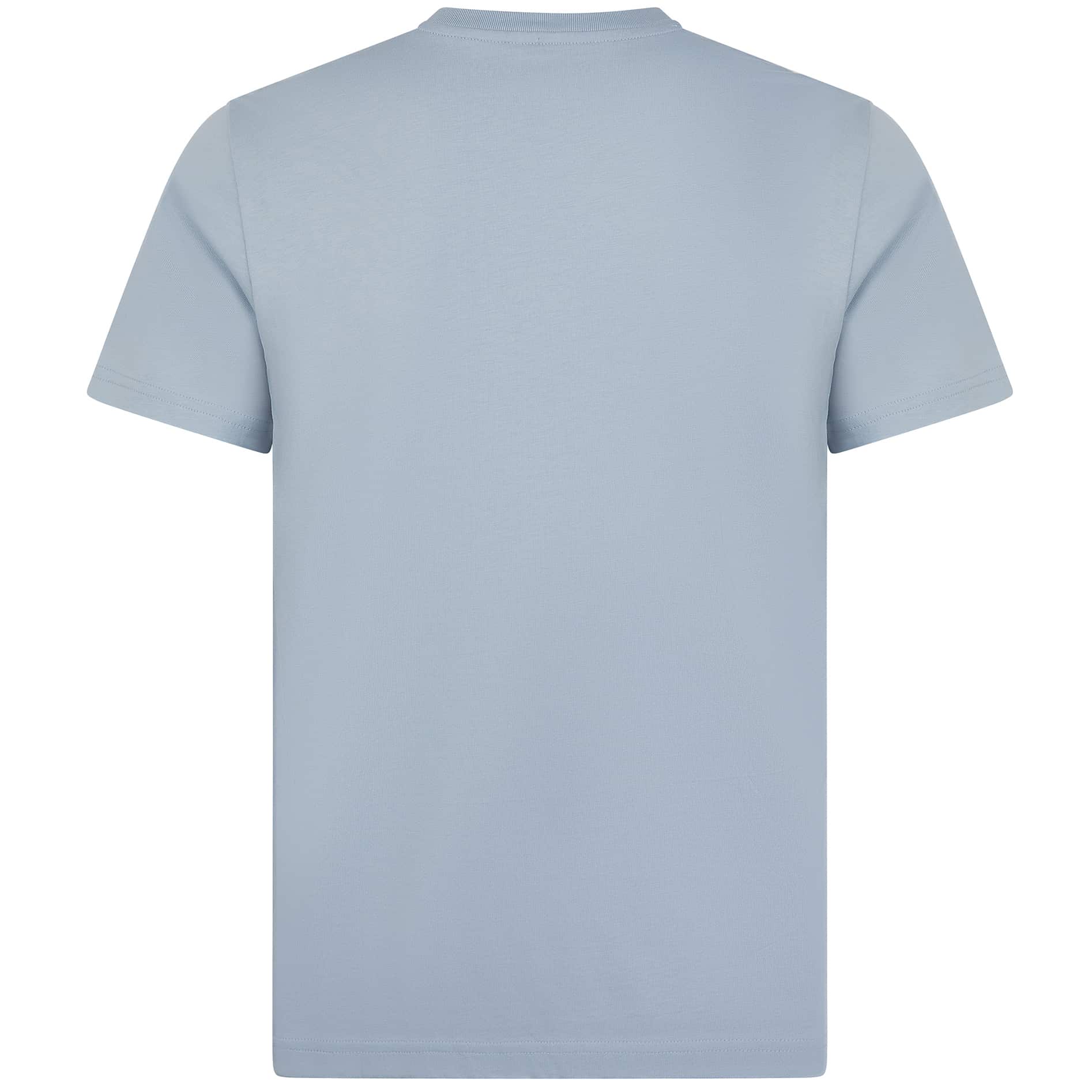 PSYCHO BUNNY ROWEN GRAPHIC T-SHIRT