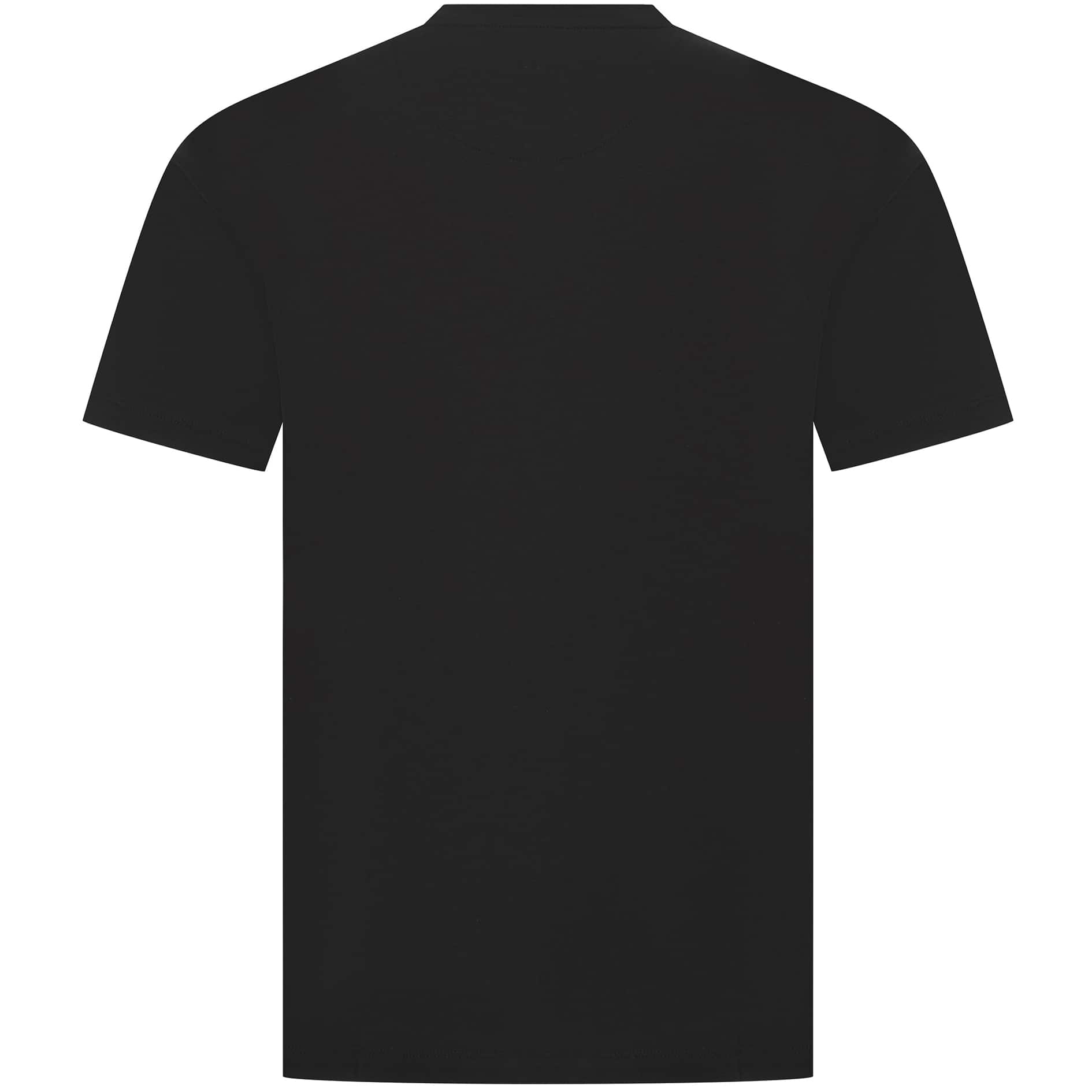 SSEINSE ESSENTIAL V-NECK FITTED T-SHIRT